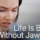 woman holding jaw in pain